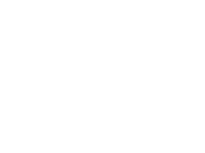 Insight Marketing - Golden Foods