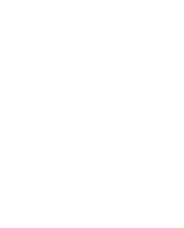 Insight Marketing - Wings Army